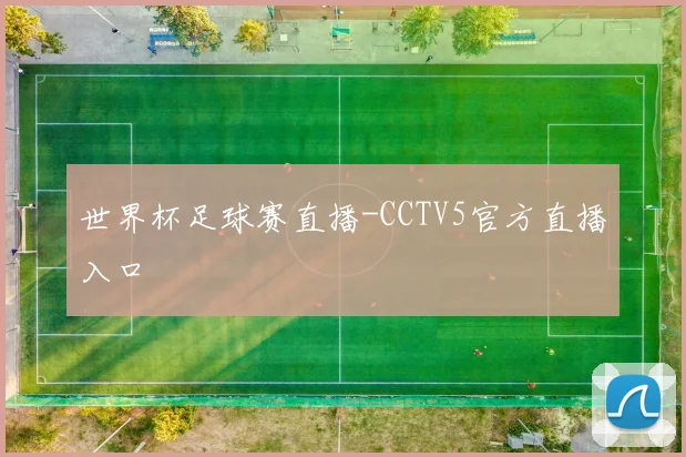 世界杯足球赛直播-CCTV5官方直播入口