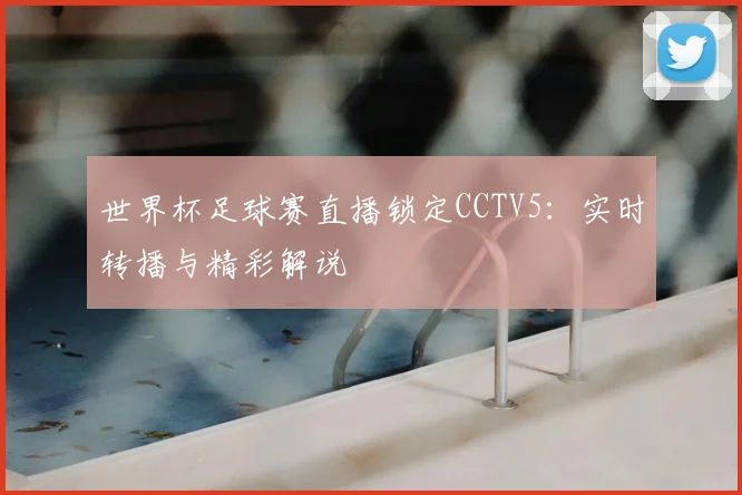 世界杯足球赛直播锁定CCTV5：实时转播与精彩解说