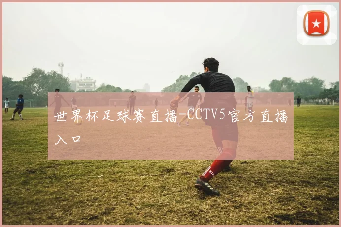 世界杯足球赛直播-CCTV5官方直播入口