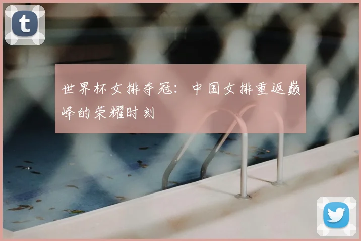 世界杯女排夺冠:中国女排重返巅峰的荣耀时刻